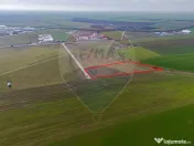 Teren intravilan 10.000 mp în Zona Industrială Sud Arad 