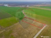 Teren intravilan 10.000 mp în Zona Industrială Sud Arad 