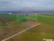 Teren intravilan 10.000 mp în Zona Industrială Sud Arad 