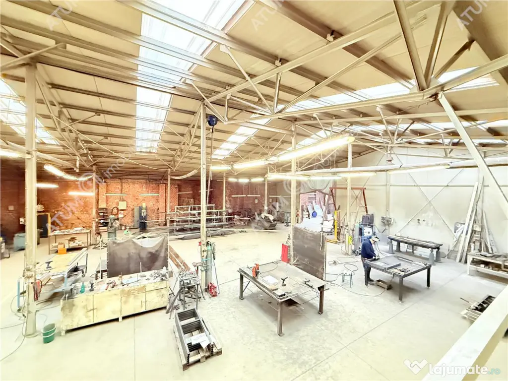 Hala industriala 1175 mp utili de in Cisnadie