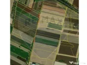 Teren intravilan 3400mp de vânzare la Sântion 