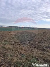 Teren intravilan 3400mp de vânzare la Sântion