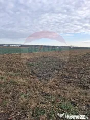 Teren intravilan 3400mp de vânzare la Sântion