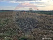 Teren intravilan 3400mp de vânzare la Sântion 