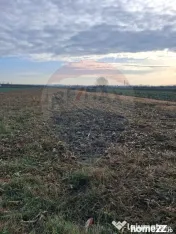 Teren intravilan 3400mp de vânzare la Sântion