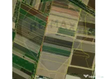 Teren intravilan 3400mp de vânzare la Sântion