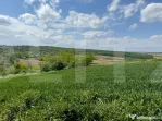 Teren extravilan 6.800 mp – Zăicești – Oportunitate in