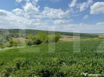 Teren extravilan 6.800 mp – Zăicești – Oportunitate in