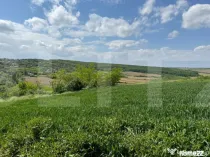 Teren extravilan 6.800 mp – Zăicești – Oportunitate in