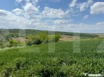 Teren extravilan 6.800 mp – Zăicești – Oportunitate in
