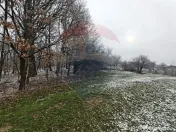 Teren 5,700mp Somcuta Mare / investitie cu potential major 