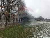 Teren 5,700mp Somcuta Mare / investitie cu potential major 