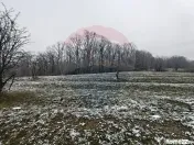 Teren 5,700mp Somcuta Mare / investitie cu potential major 