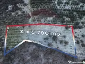 Teren 5,700mp Somcuta Mare / investitie cu potential major 