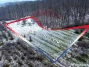 Teren 5,700mp Somcuta Mare / investitie cu potential major 