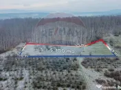 Teren 5,700mp Somcuta Mare / investitie cu potential major 