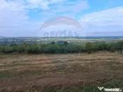 Teren 5,700mp Somcuta Mare / investitie cu potential major 