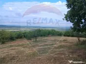 Teren 5,700mp Somcuta Mare / investitie cu potential major 