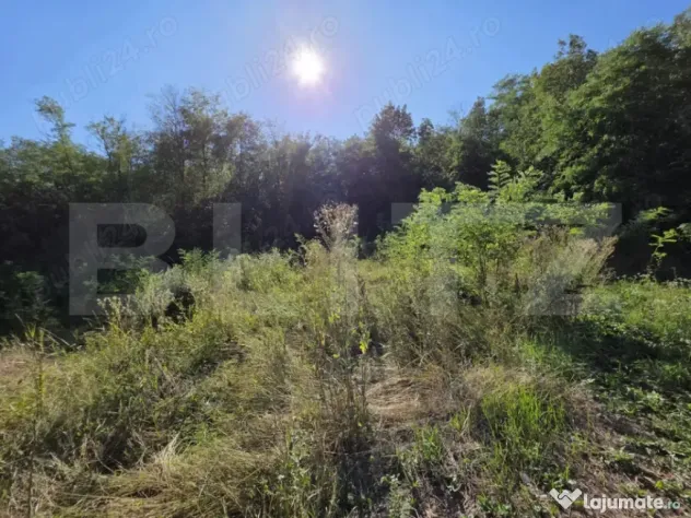 Casă 70 mp– Valea Caselor, Dâmbovița