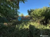 Zona ULTRACENTRALA, in apropiere de Tribunal, casa demolabil 