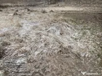 Teren intravilan pentru construcție de casă în Dezmir!