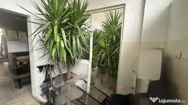 Spațiu comercial, 146 mp, zona Central