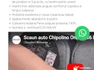 Scaun auto Chipolino Orbit pentru copii intre 0 - 36 kg