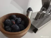 Aparat de scos samburii de prune actionat manual GM155 - 100% Germania 