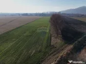 Teren extravilan cu potențial ridicat rezidential/indust... 