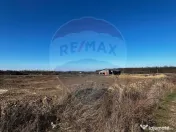 Teren 600mp Sanmartin / Padure 