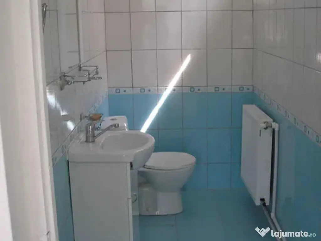 Spatiu comercial, 220 mp, zona 1 Mai