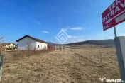 Teren intravilan Teraplast Arena 