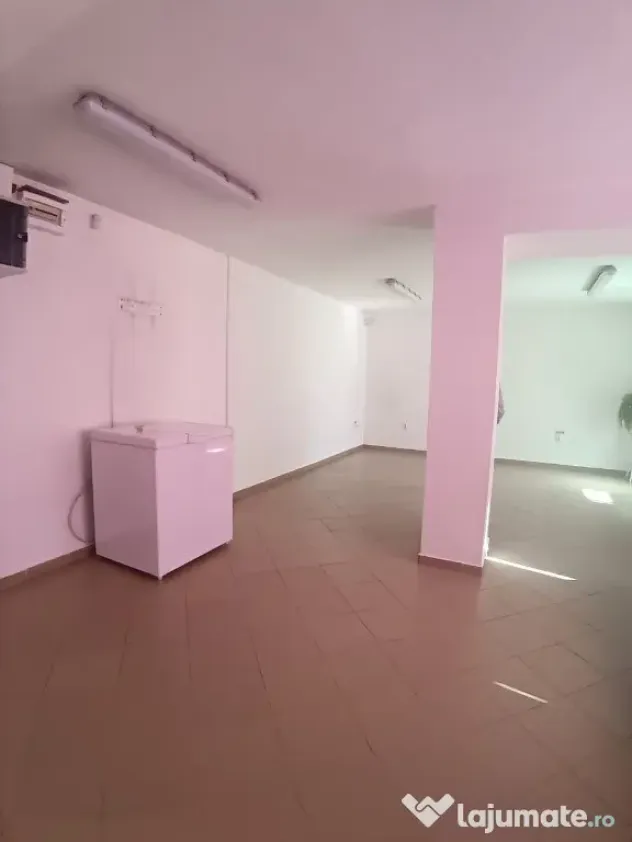 Cosbuc, spatiu comercial, 50mp
