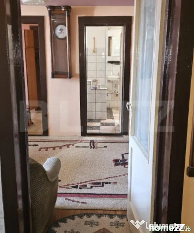 Apartament cu 2 camere, 50 mp, zona 14 Mai - Satu Mare (Satu-Mare)