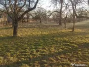 De vânzare casă particulară în Arcus 