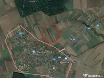 Teren Dascalu 19000 mp - Posibilitate de parcelare!