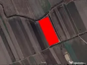 Teren Dascalu 19000 mp - Posibilitate de parcelare! 