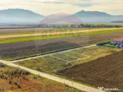 0% Comision | Teren 650 mp | Sacele, Str. Venus | INTRAVILAN 