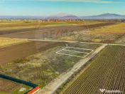 0% Comision | Teren 650 mp | Sacele, Str. Venus | INTRAVILAN 