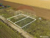 0% Comision | Teren 650 mp | Sacele, Str. Venus | INTRAVILAN 