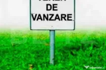 Teren Dumbraveni, 30 ari, deschidere 50 m, pretabil blocuri!