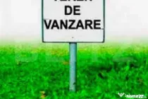 Teren Dumbraveni, 30 ari, deschidere 50 m, pretabil blocuri!