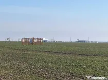 Teren intravilan, 5000 mp, zona Peugeot