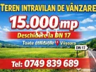 Teren intravilan 15.000 mp de vanzare - Bistrita - Viisoara