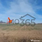 Teren intravilan Parvu Rosu 990 mp