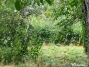 Teren cu deschidere mare 30 m 