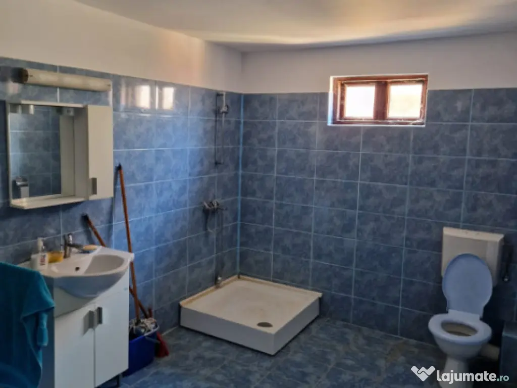 Ocazie unica !!! CONAC boieresc superb in inima Olteniei, 9