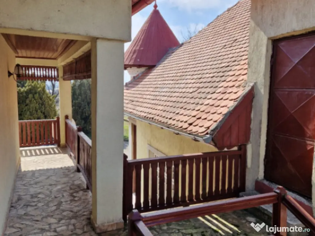 Ocazie unica !!! CONAC boieresc superb in inima Olteniei, 9