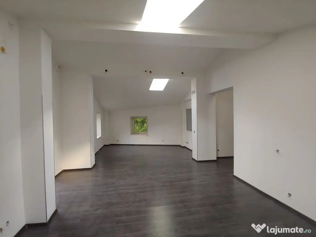 Spatiu comercia ,birouri 120 mp Dacia