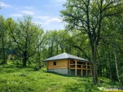 3.000mp de incantare montana cu cabana din lemn masiv, Zarne 